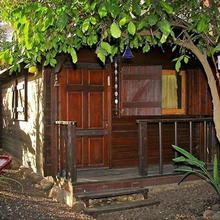Villa נופש דביר - סוויטות מהממות ובקתה כפרית עם ג'קוזי ליד הכנרת - יש מקלט צמוד Migdal Esterno foto