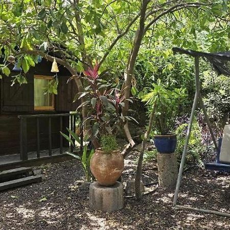 Villa נופש דביר - סוויטות מהממות ובקתה כפרית עם ג'קוזי ליד הכנרת - יש מקלט צמוד Migdal Esterno foto
