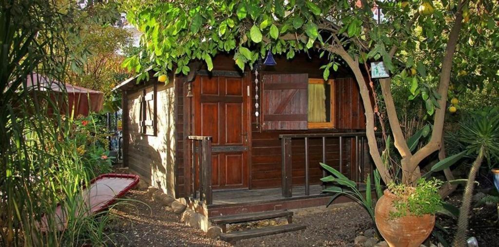 Villa נופש דביר - סוויטות מהממות ובקתה כפרית עם ג'קוזי ליד הכנרת - יש מקלט צמוד Migdal Esterno foto