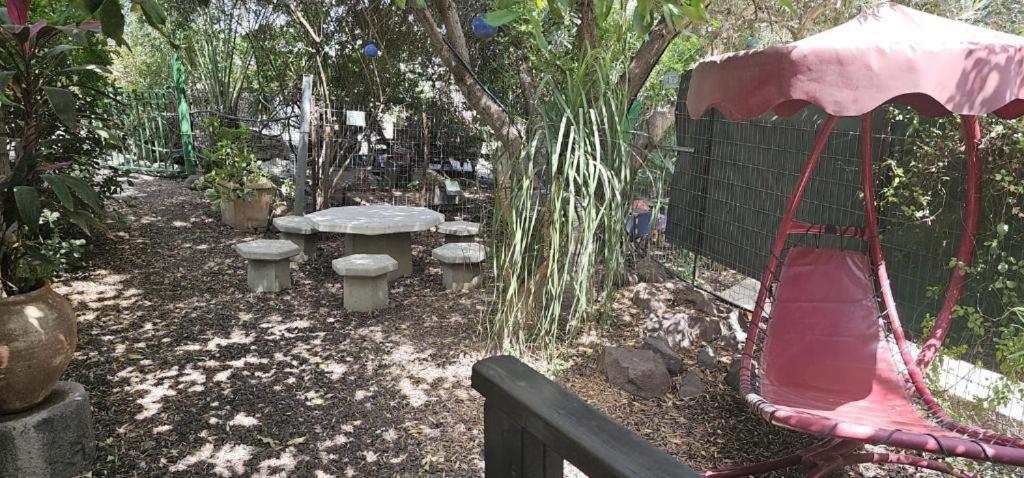 Villa נופש דביר - סוויטות מהממות ובקתה כפרית עם ג'קוזי ליד הכנרת - יש מקלט צמוד Migdal Esterno foto