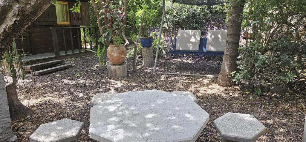Villa נופש דביר - סוויטות מהממות ובקתה כפרית עם ג'קוזי ליד הכנרת - יש מקלט צמוד Migdal Camera foto