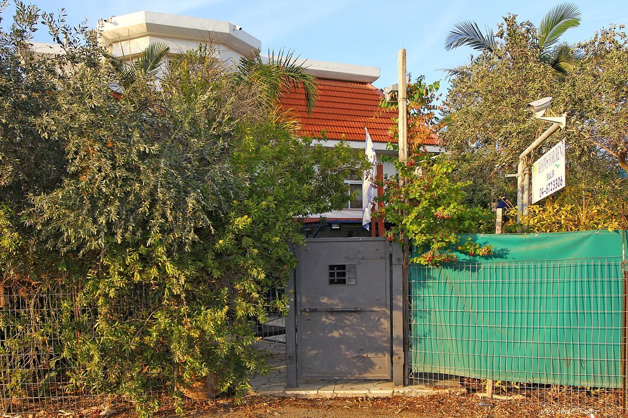 Villa נופש דביר - סוויטות מהממות ובקתה כפרית עם ג'קוזי ליד הכנרת - יש מקלט צמוד Migdal Esterno foto